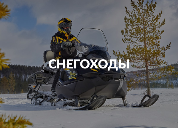 Снегоходы